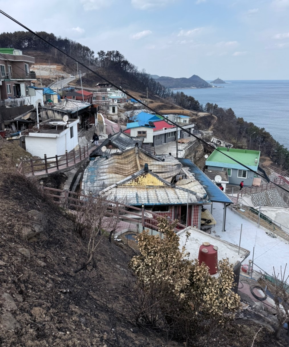 산불 피해 이재민 인터뷰 및 지원