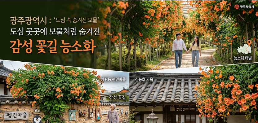 광주 능소화