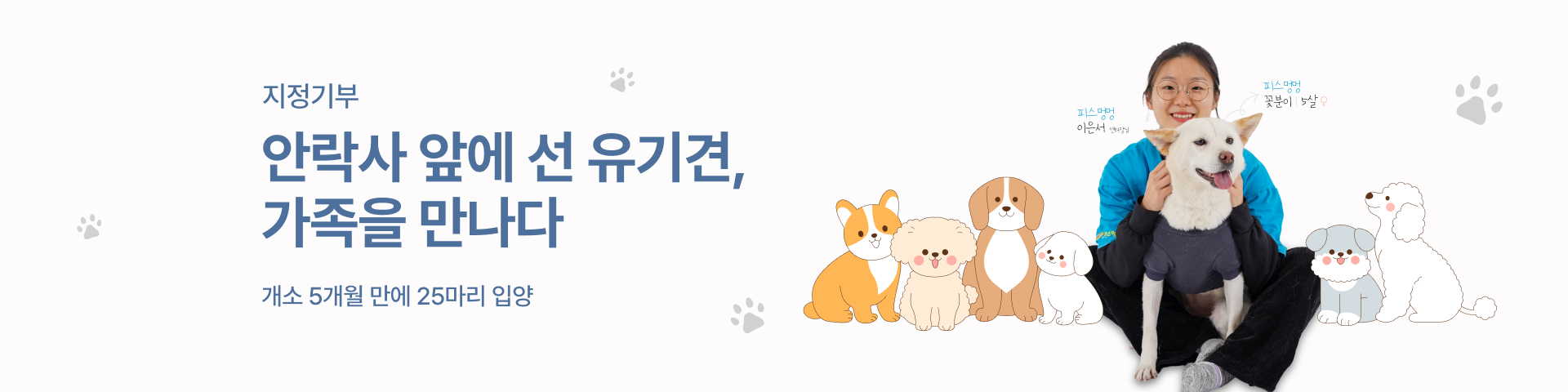 유기견