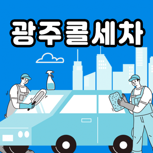 전문가 출장 콜세차