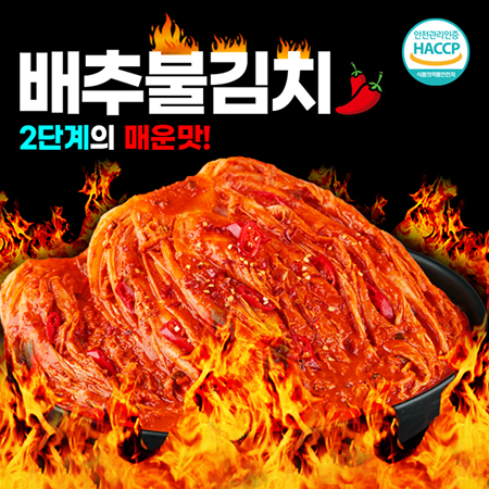 전라도 금치 불김치 매운김치 1.6kg