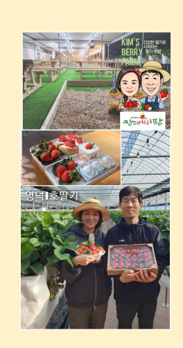 영덕 딸기농장 체험권
