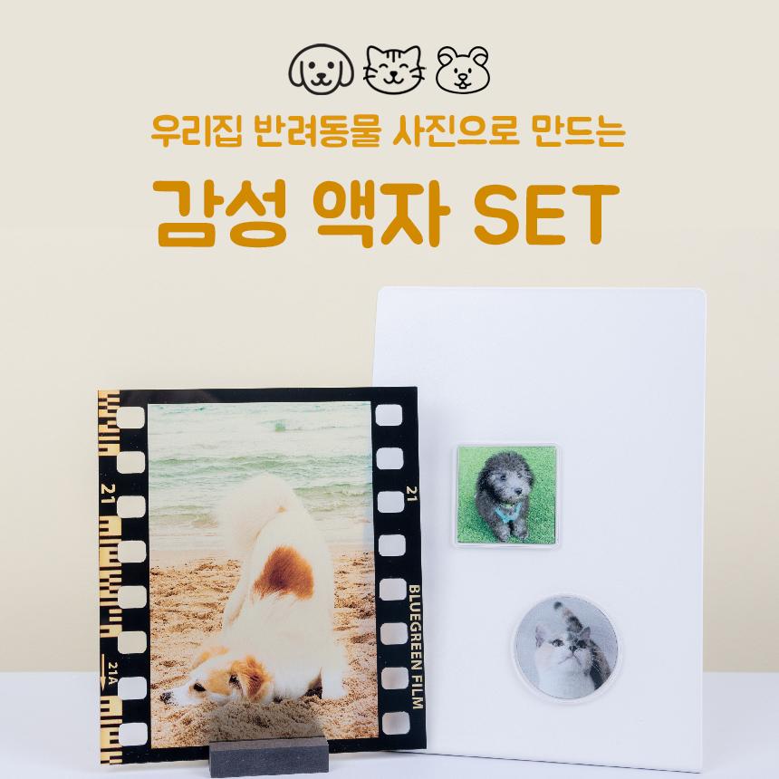 반려동물 사진으로 만드는 액자패키지(필름액자&미니자석액자)