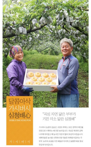 (중복) 전남 곡성 심청 배 5kg