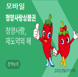 청양사랑상품권 모바일 3만원(1만원권*3매)
