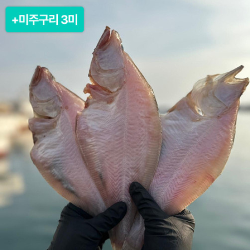 [이벤트] 울산 반건조 용가자미 방어진 참가자미 6미+미주구리 3미 