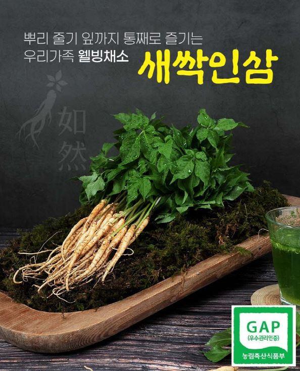 여연새싹인삼 2년근 30뿌리