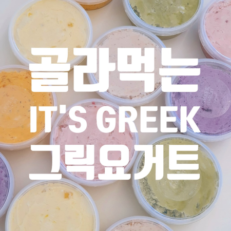 수제 무설탕 그릭요거트 600g(300g*2통)