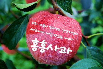 껍질째 먹는 거창사과 가정용 2.5kg 11과