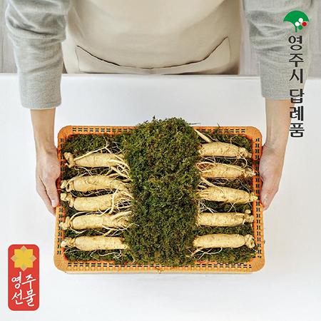풍기인삼 선물세트 600g(16~21편)