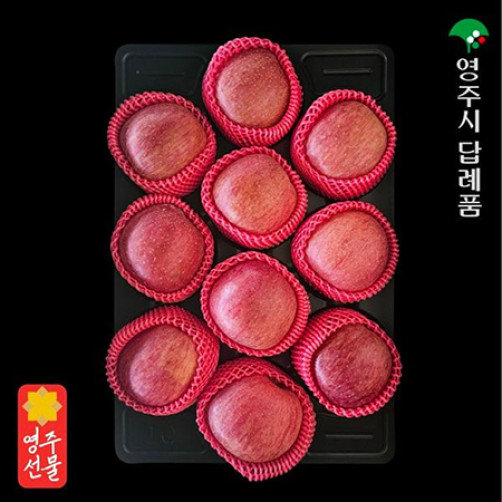 대경사과원예농협 영주사과 선물세트 3.5kg