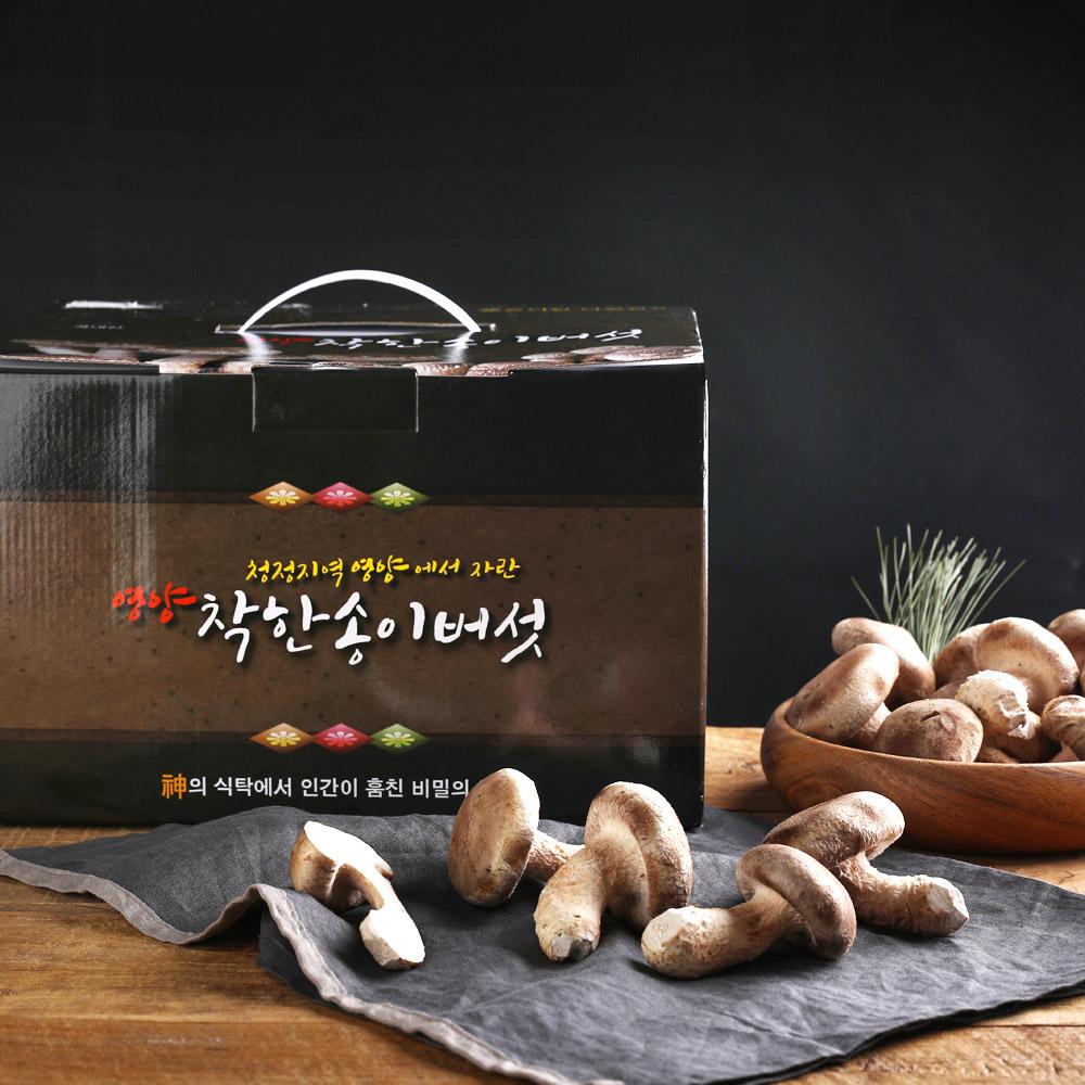 영양 무농약 착한송이버섯 1kg