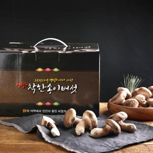 영양 무농약 착한송이버섯 1kg