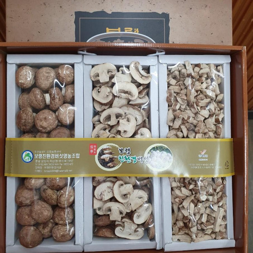 무농약 건양송이 버섯 3종세트(통, 슬라이스, 알갱이 각 60g)