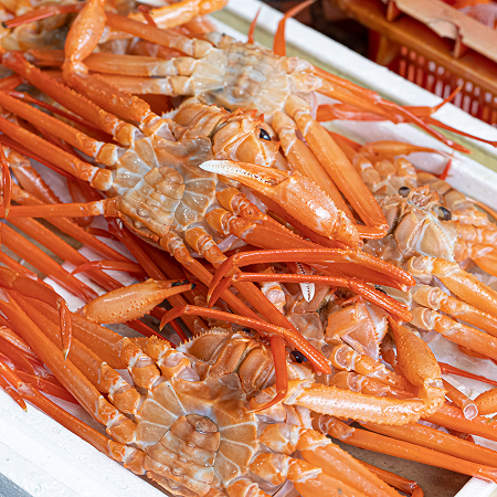 경북 영덕 홍게 2kg(생물 or 자숙)