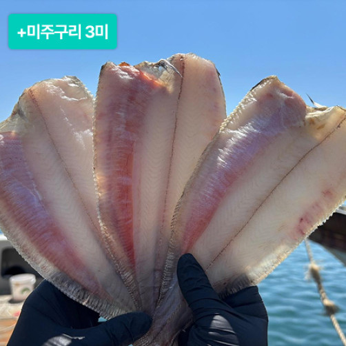 [이벤트] 울산 반건조 방어진 미주구리 기름가자미 중사이즈 12미+미주구리 3미 