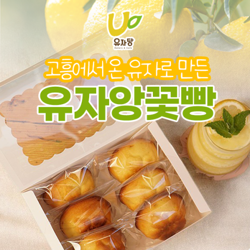 고흥 유자로 만든 유자앙꽃빵 10구