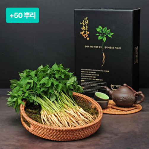 [이벤트] 가온참뜰 새싹삼 100뿌리+50뿌리