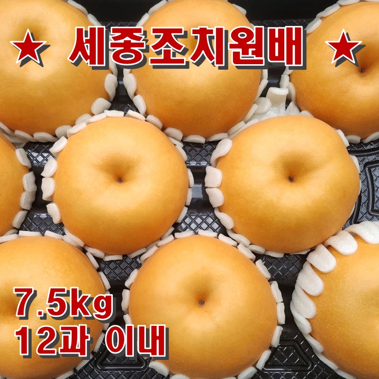 조치원농협 배 7.5kg(12과 이내)