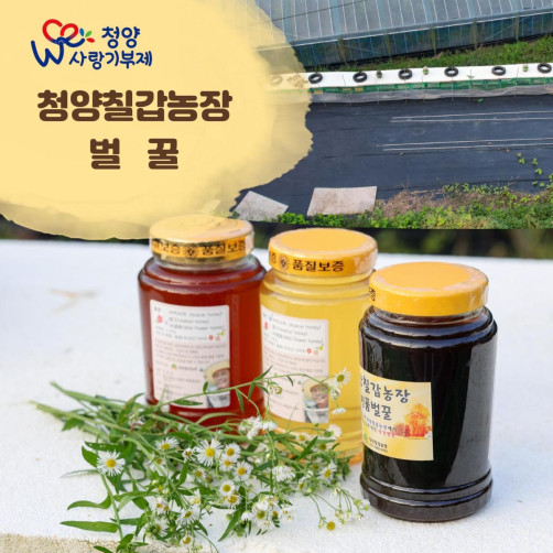 청양칠갑농장 명품 야생화꿀 1.2kg