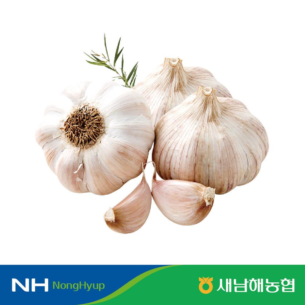 2025년 해풍을 먹고자란 남해마늘 햇마늘 2kg