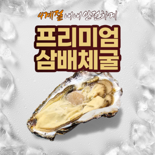 산지직송 국내산 삼배체굴 4kg(15개 내외)