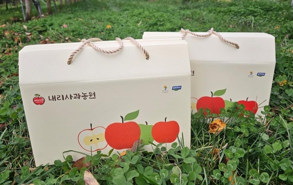 청정 DMZ에서 재배한 사과즙 6L(120ml*50개)