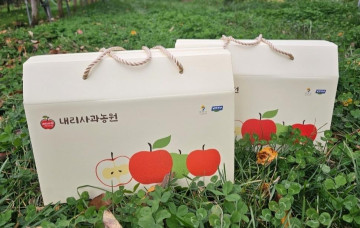 청정 DMZ에서 재배한 사과즙 6L(120ml*50개)