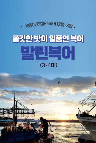 겨울이 제철인 말린 복어 1.1kg