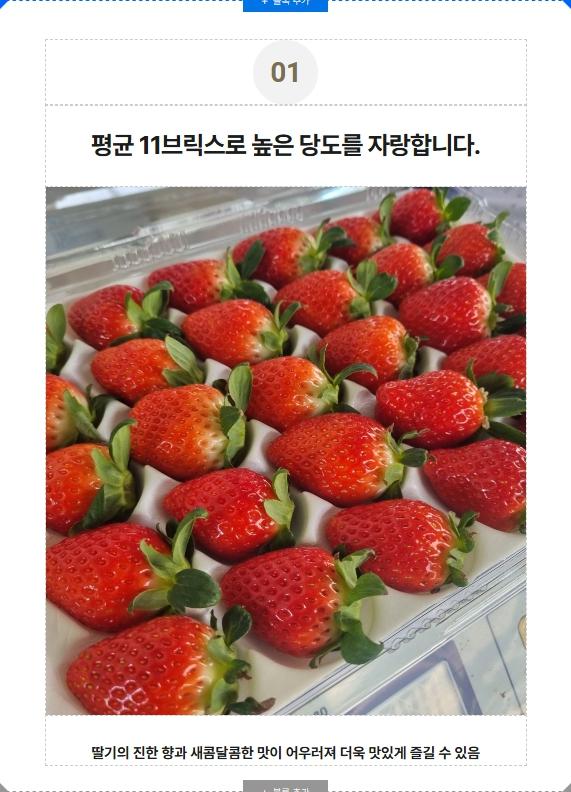 로열 알타킹 딸기 선물세트 800g