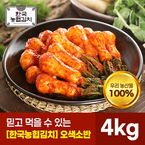 오색소반 총각김치 4kg