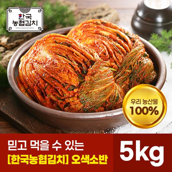 오색소반 포기김치 5kg