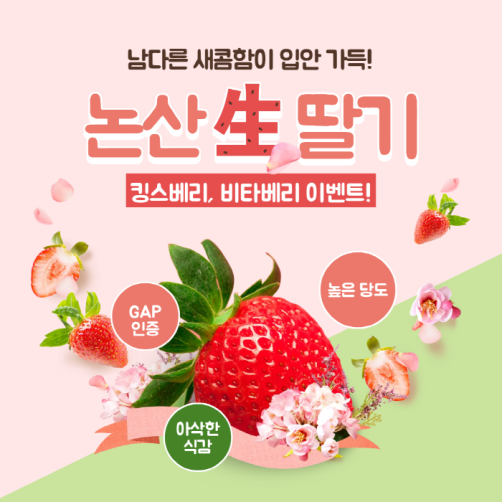 논산 딸기 킹스베리 800g 