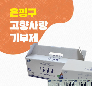 블루베리넛 라이트 견과류 세트 600g(20g*30봉)