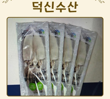 반건조 오징어 1kg(10마리*100g)