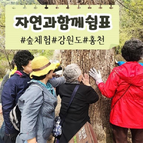 공작산 생태숲 산림교육 프로그램 1인 체험권