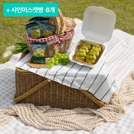 [이벤트] 100% 국산 샤인머스켓빵 (12개*1박스+12개*1박스)