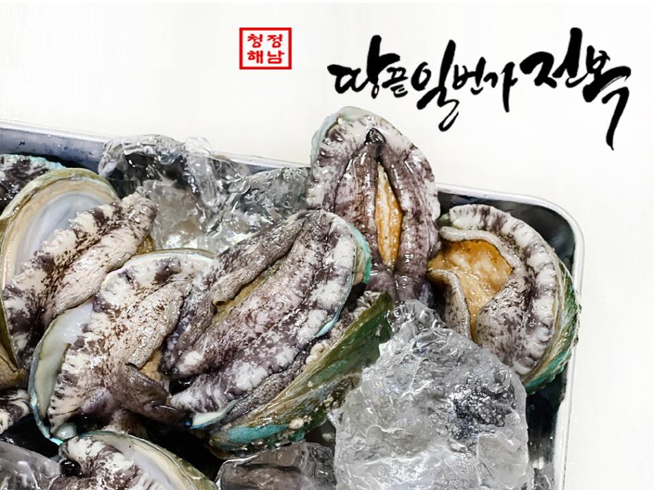 청정지역 해남땅끝 활전복 18미 1kg