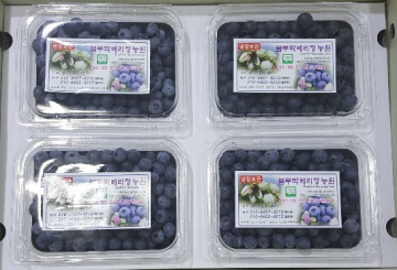 블루베리 생과 보통과 1kg(250g*4팩)