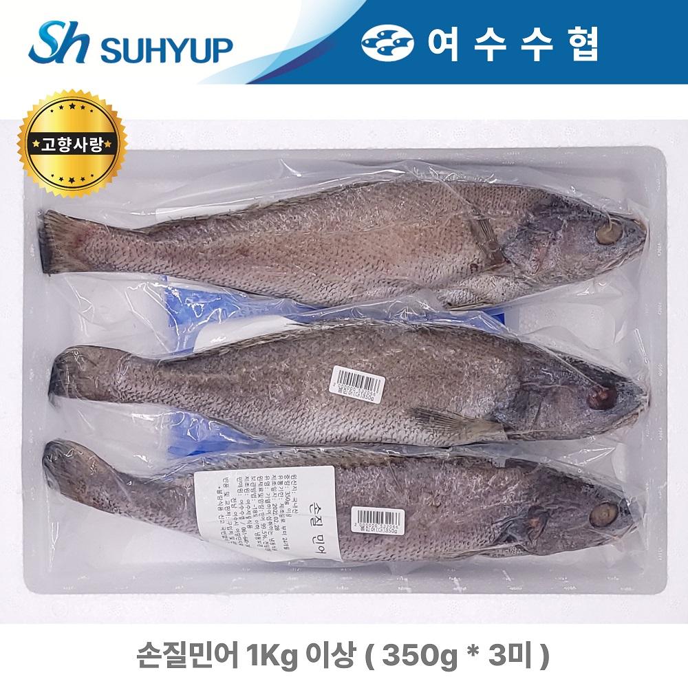 국내산 손질민어 1.05kg(350g*3미)