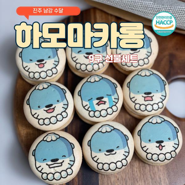 하모 마카롱 선물세트 9구