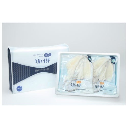 해어화 갑오징어 선물세트 600g 이상(300g*2미)