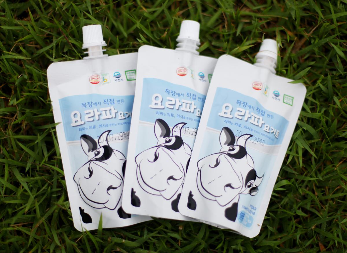 수제 목장 요라파요거트 2.7L(100ml*12팩+500ml*3통)