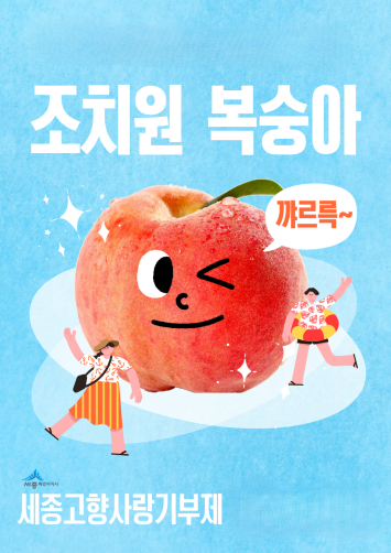 [예약배송] 조치원 복숭아 4kg 16과 *7월 27일부터 순차배송