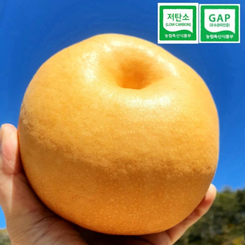 [예약배송] 저탄소 인증 신고배 7.5kg(12과~16과) *11월초 순차배송