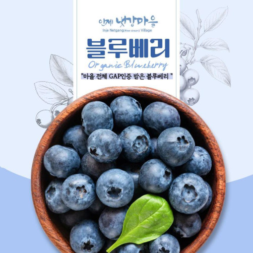 GAP 인증 블루베리 1kg