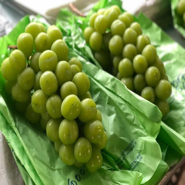 [예약배송] 고당도 프리미엄 샤인머스켓 선물용 2kg *8월부터 순차발송