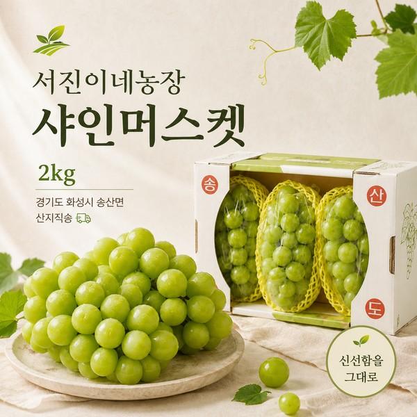 서진이네농장 화성 송산 샤인머스켓 2kg '26년 9월부터 발송 가능