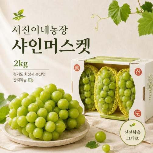 서진이네농장 화성 송산 샤인머스켓 2kg '26년 9월부터 발송 가능