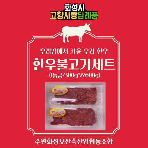 한우 1등급 불고기 세트 600g(300g*2팩)